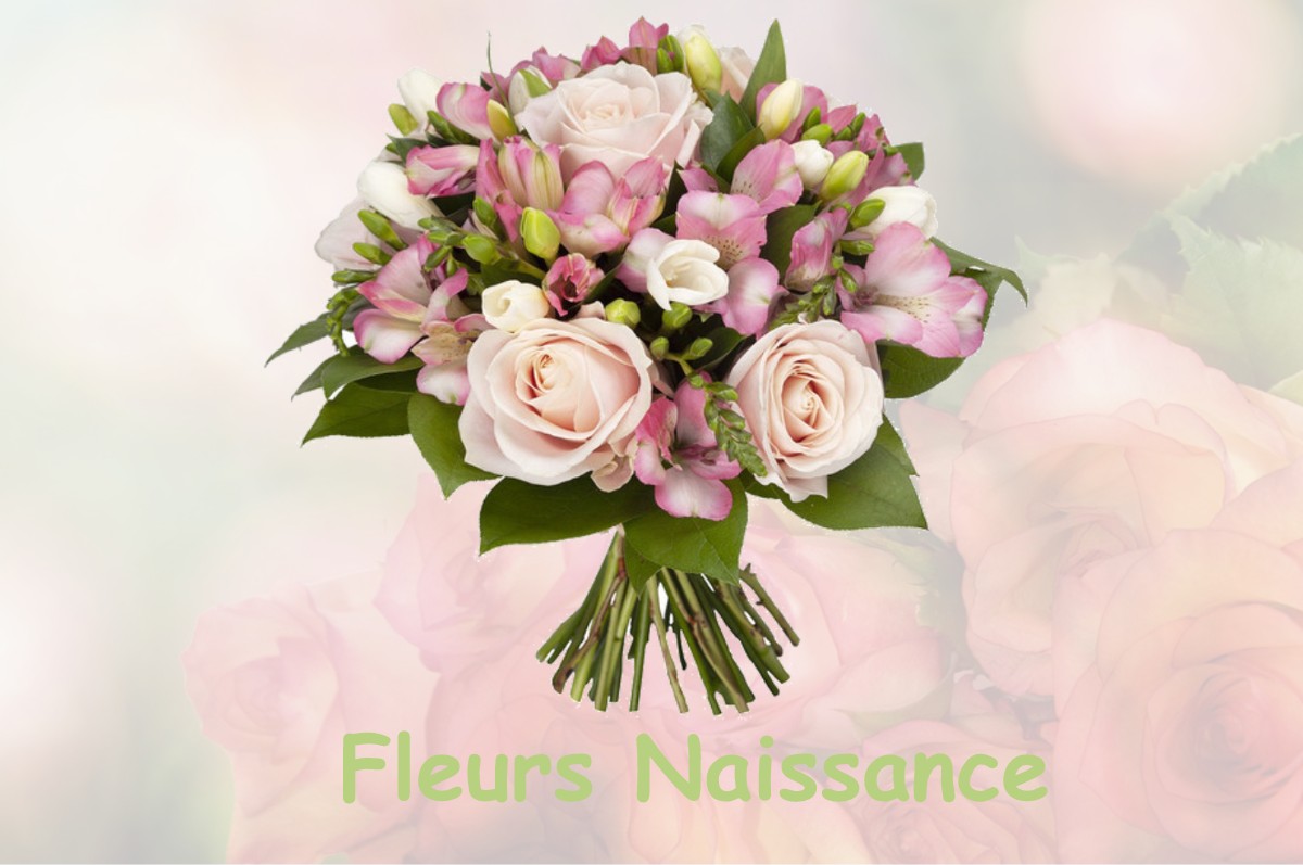 fleurs naissance SAINT-GENES-DE-FRONSAC